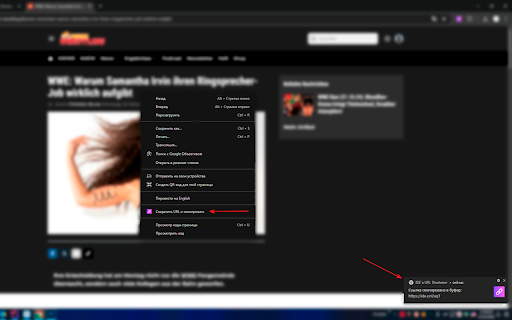 IDE`a URL Shortener  from Chrome web store to be run with OffiDocs Chromium online